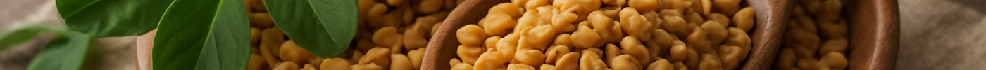 Fenugreek Seeds Benefits: Traditional Spice for Modern Health