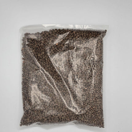 Brown Lentil - Rubi-500g, 1Kg, 2Kg, 5Kg - The Fusion Mart UK