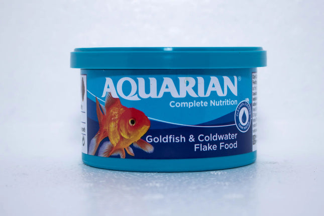 aquarian goldfish