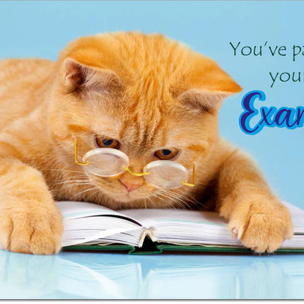 exam congrats card clever cat - The Fusion Mart UK