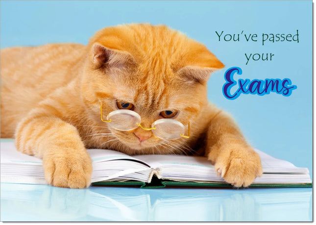 exam congrats card clever cat - The Fusion Mart UK