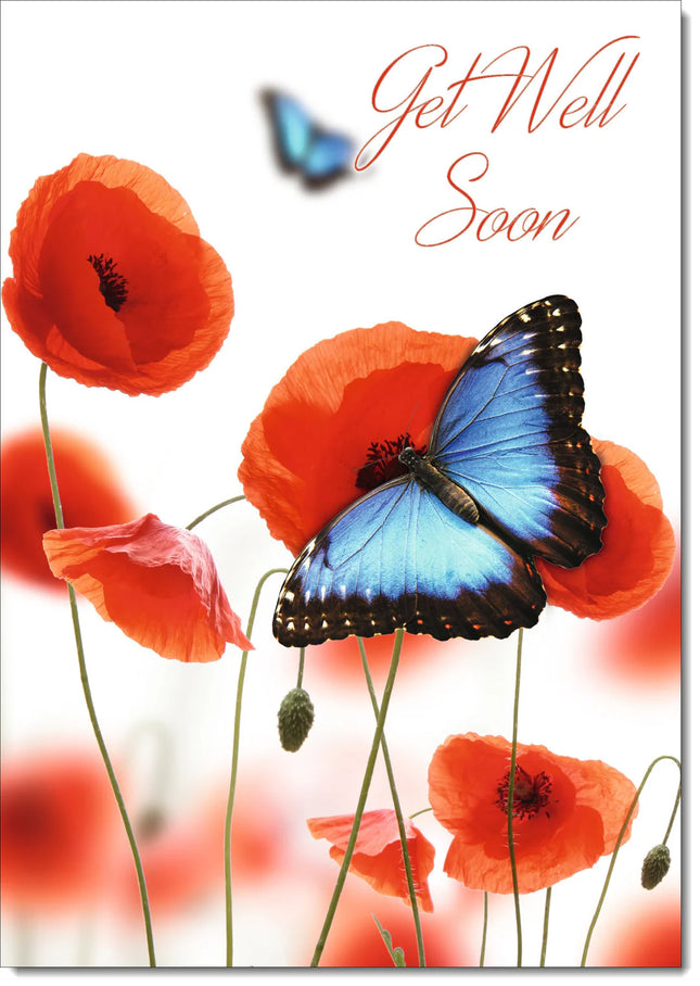 get well card poppies and blue butterflies - The Fusion Mart UK