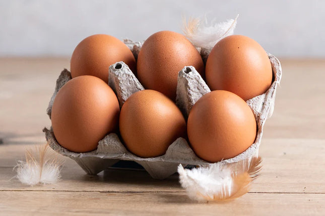 free range egg