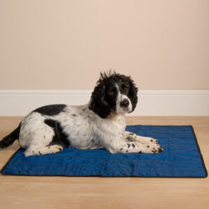 Aqua Coolkeeper Pet Cooling Mat